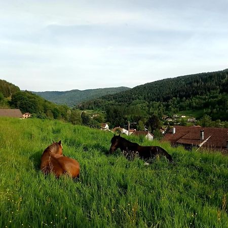 Gite De Famille Dans Les Vosges Saint-Maurice-sur-Moselle Esterno foto