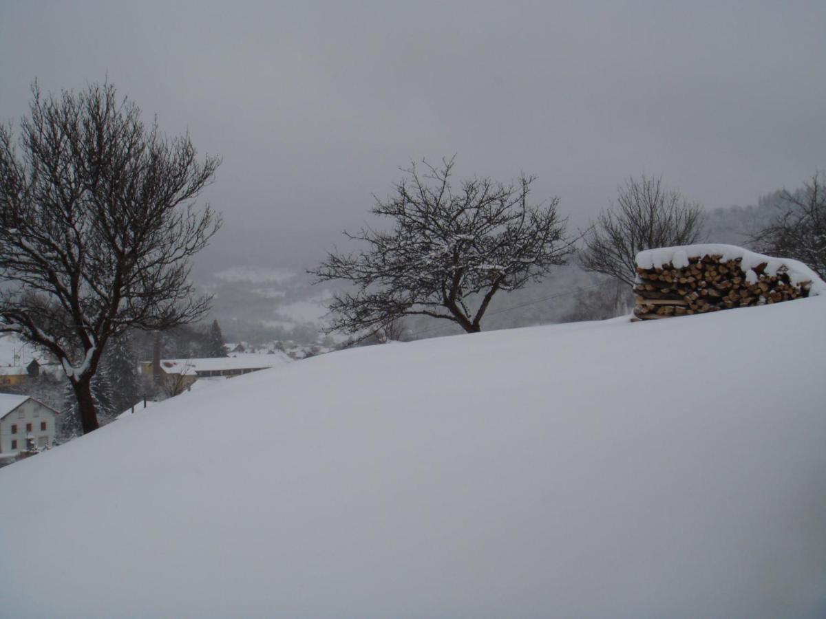 Gite De Famille Dans Les Vosges Saint-Maurice-sur-Moselle Esterno foto