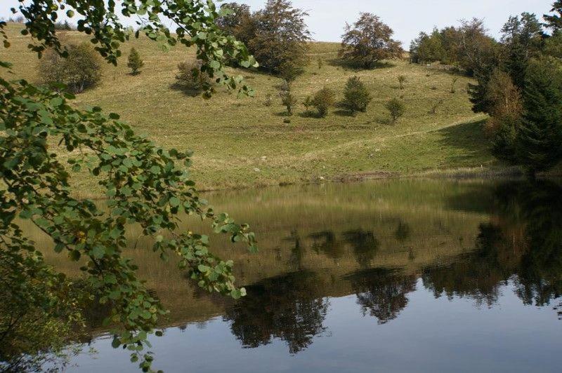 Gite De Famille Dans Les Vosges Saint-Maurice-sur-Moselle Esterno foto