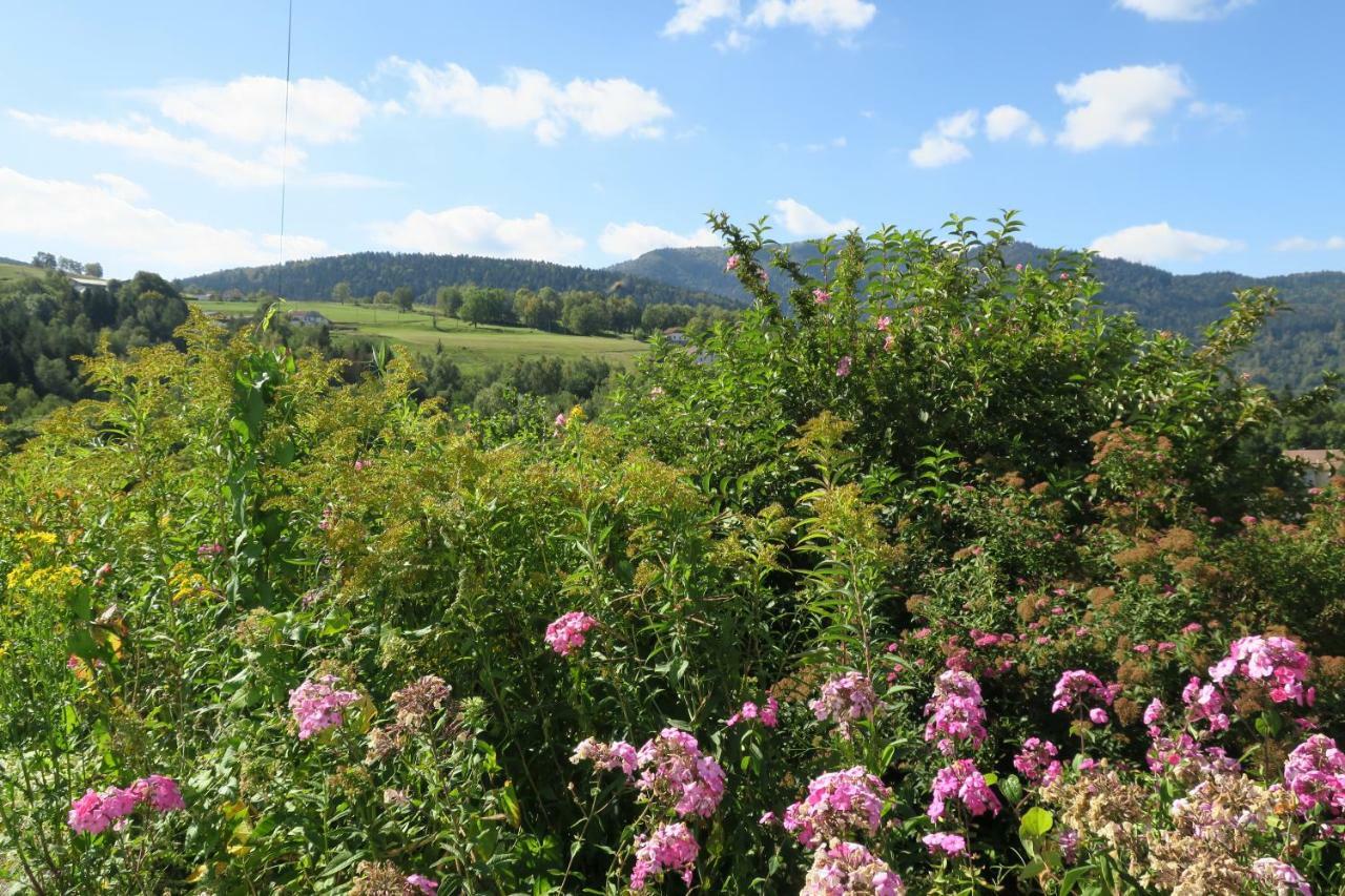 Gite De Famille Dans Les Vosges Saint-Maurice-sur-Moselle Esterno foto
