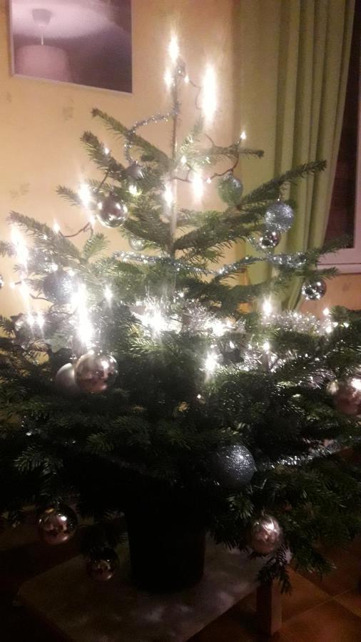 Gite De Famille Dans Les Vosges Saint-Maurice-sur-Moselle Esterno foto